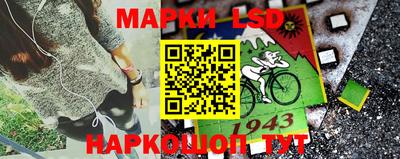 гашик Малгобек