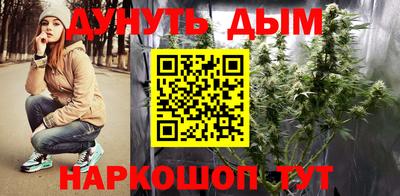 гашик Малгобек