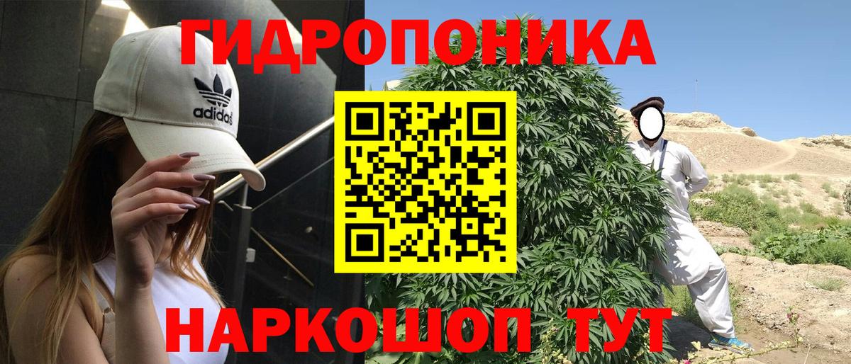 Марихуана план  Каннабис планчик  Вход с VPN  Воткинск 